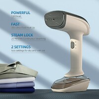 RX01 Portable 1200W High Power Electric Customized Support Garment Steamers Clothes Steamers With Big Air Output
