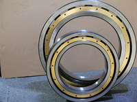 Bearing Types And Applications