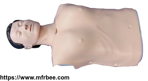 human_hot_sale_half_body_cpr_trainging_manikins_and_materials_wholesale