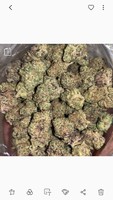 (VERIFIED USER✅)PLEASE READ CAREFULLY BEFORE TEXTING US ,(% OFF BULK PURCHASES) CALL/Text/ WhatsApp.. +19034727119, Wickr: Biglifegrow,  IG:biglife.grow,  Snapchat:Biglifegrow