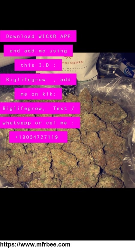please_read_carefully_before_texting_us_lack_of_trust_on_bt_calls_for_alarm_u_s_a_and_canada_buyers_percentage_off_bulk_purchases_wickr_biglifegrow_whatsapp_call_text_19034727119
