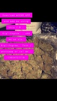 PLEASE READ CAREFULLY BEFORE TEXTING US .LACK OF  TRUST ON BT CALLS FOR ALARM.U.S.A & CANADA BUYERS(% OFF BULK  PURCHASES) Wickr // Biglifegrow , WhatsApp/CALL/Text.. +19034727119