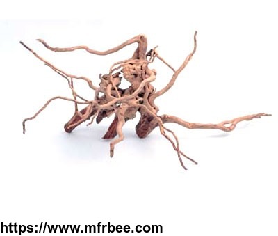 chinese_supplier_cheap_hot_selling_rhododendron_root_manufacture