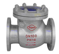 more images of DIN Swing Check Valves