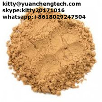 High Quality Curcumin Supplier kitty@yuanchengtech.com