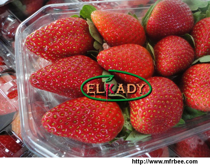 fresh_strawberry