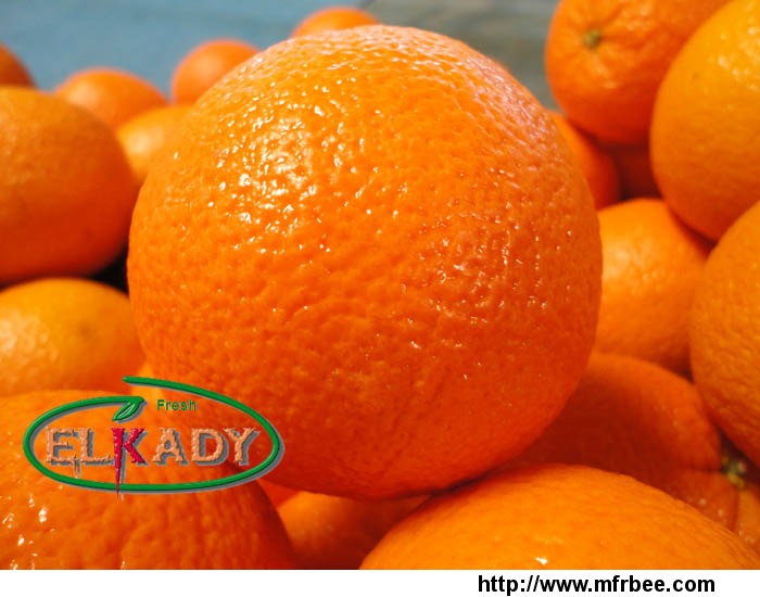 fresh_valencia_orange
