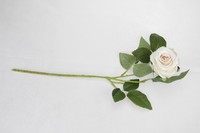 more images of Real-touch Nature looking Artificial flowers