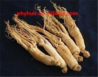 more images of 7% Ginseng root extract, panax ginseng extract for good health