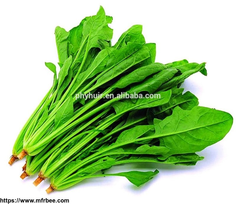 huir_100_percentage_natural_spinach_extract