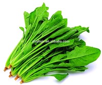 Huir 100% Natural spinach extract