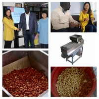 dry type peanut peeling machine with best price in china