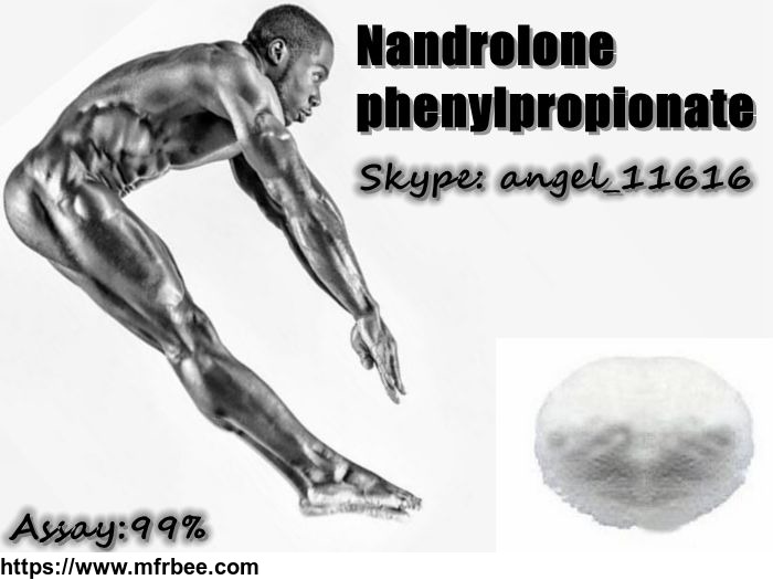 nandrolone_phenylpropionate_angel_at_health_gym_dot_com_for_muscle_growth_bodybuilding