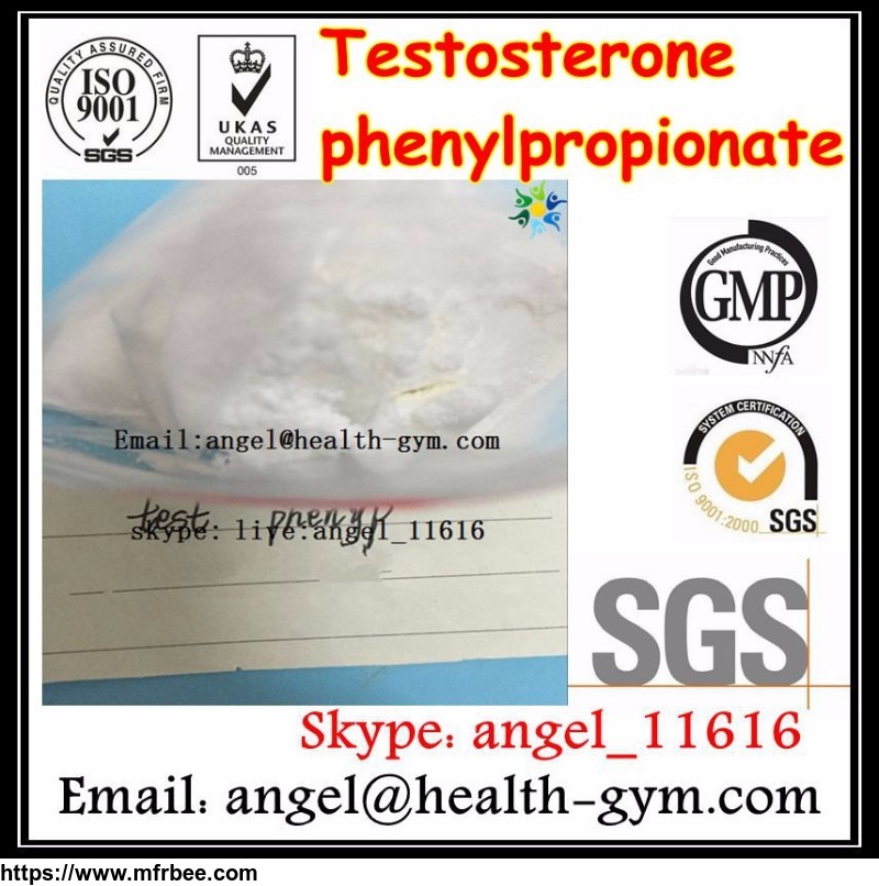 testosterone_phenylpropionate_angel_at_health_gym_dot_com_for_bodybuilding