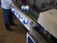 Double Conveying Toilet Paper Packing Machine For Multiple Rolls