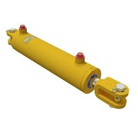 more images of Atos Hydraulic Cylinder
