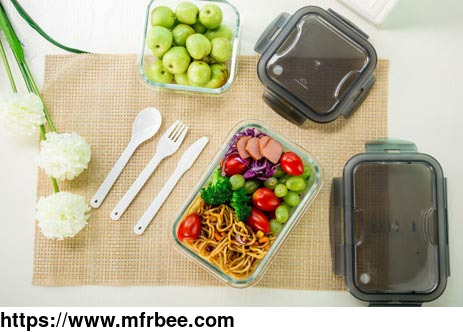 how_to_say_goodbye_to_takeout_start_by_understanding_the_categories_of_adult_bento_boxes_and_lunch_bags