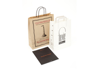 small paper bags paper carrier bags retail bags