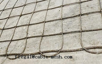 Square Cable Mesh