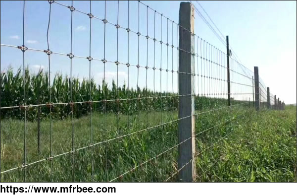 woven_wire_mesh_fence