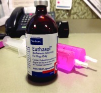 Buy EUTHASOL Solution Injection Online