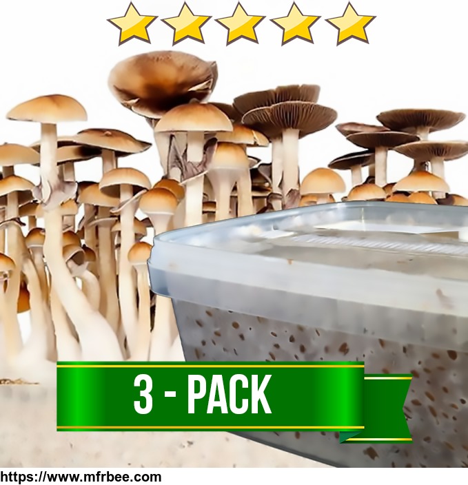 3_magic_mushroom_grow_kits_1200cc_valiumonline9_at_gmail_com