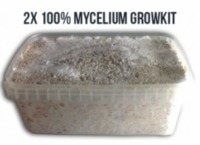 3x 100% Mycelium Kit – 1200cc      valiumonline9@gmail.com    W1CK@R//ME valiumonline