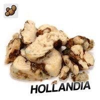 Psilocybe Hollandia Truffles (15 grams)    valiumonline9@gmail.com W1CK@R//ME valiumonline