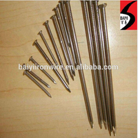 more images of common wire nail