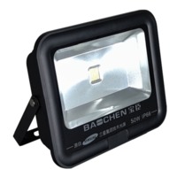 50W Flood light, Samsung chips, ourdoor light, Dorne driver