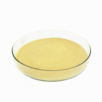more images of Fungal Alpha Amylase Powder Form