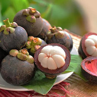 more images of Mangosteen Extract
