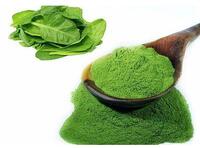 more images of Organic Spinach Powder