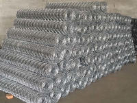 more images of Hexagonal Wiremesh