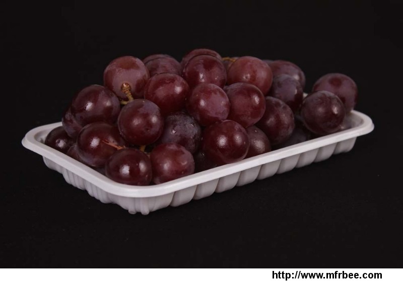 plastic_food_tray_fruit_packaging