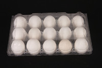 more images of plastic egg tray