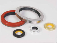 more images of PTFE Seal