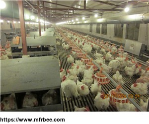 automatic_controller_poultry_farm_equipment_for_breeder