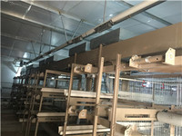 automatic cage system for broiler