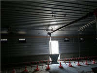 more images of pre-feb steel structure house with European standard