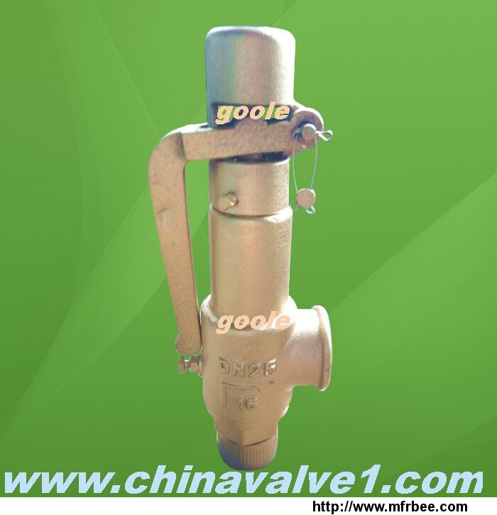 spring_loaded_low_lift_type_safety_valve