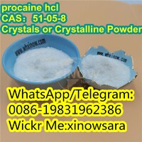 Procaine base procaine powder cas59-46-1,Whatsapp:0086-19831962386,Wickr:xinowsara
