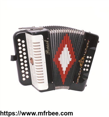 parrot_21_button_8_bass_diatonic_accordion_with_case_and_straps
