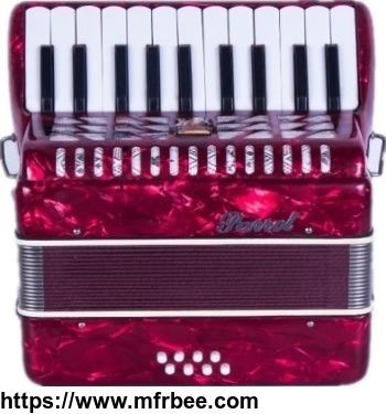 parrot_22_keys_8_bass_piano_accordion_with_case_and_straps