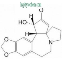 Reference Standard,Phytochemical of Cephalotaxine,Cephalotaxlen,24316-19-6,Omacetaxine,26833-87-4,Hmoharringtonine,Omacetaxine mepesuccinate,Ceflatonin