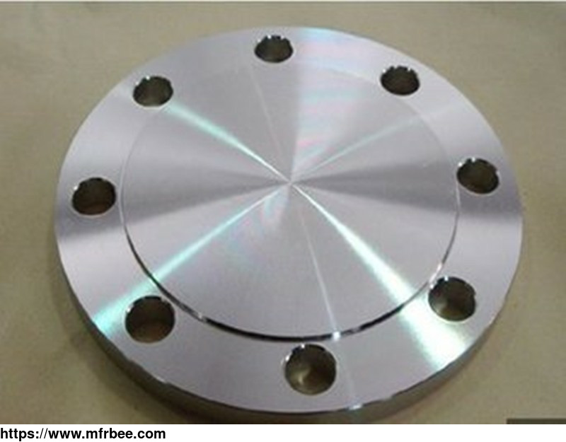 api_best_selling_cheapest_price_wn_flanges_paddle_companion_flange_for_oilfield