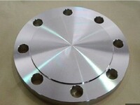 API Best Selling Cheapest Price WN Flanges Paddle companion Flange for Oilfield