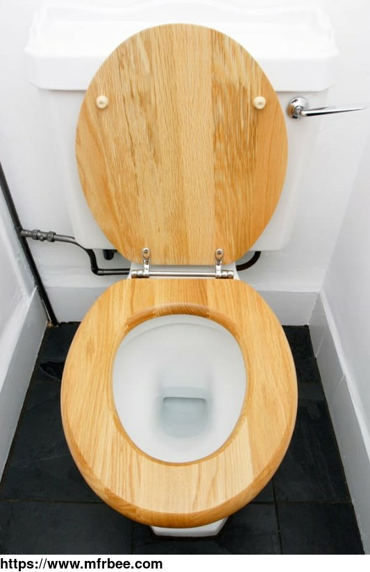 toilet_seat