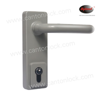 more images of panic device trim handle. available for wooden door and steel door.