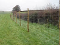 Field Fence - High Tensile Wire & Low Carbon Steel